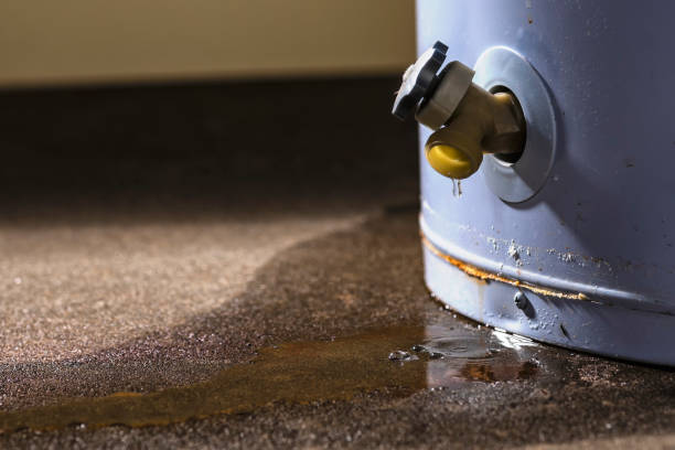 Best Mold removal after water damage  in Mount Carmel, IL