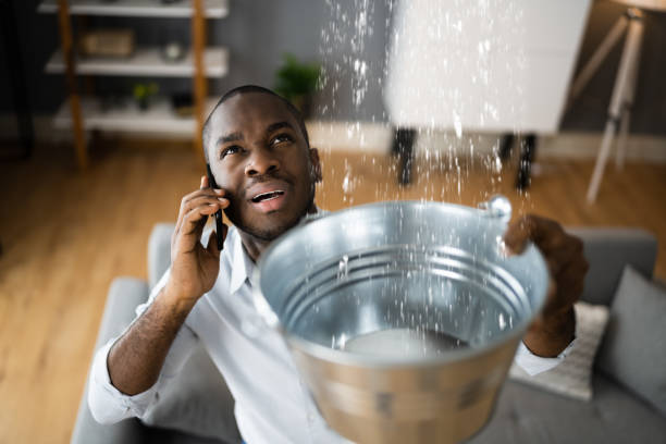 Best 24-hour water damage restoration  in Mount Carmel, IL