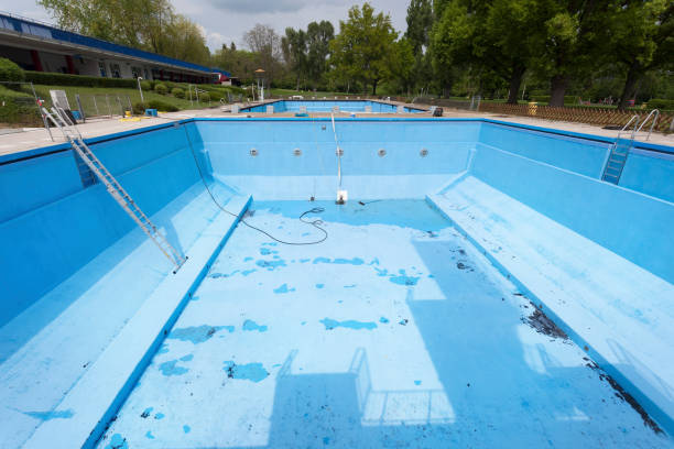 Best Water damage restoration mold remediation  in Mount Carmel, IL