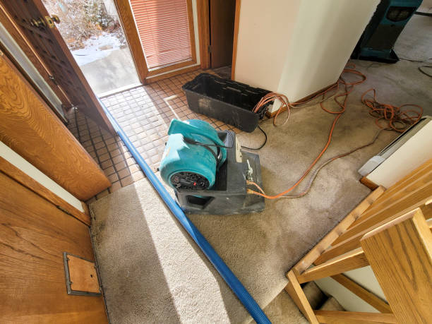 Reliable IL Water damage restoration Solutions