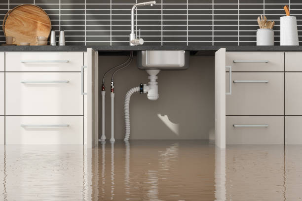 Best 24/7 water damage repair  in Mount Carmel, IL