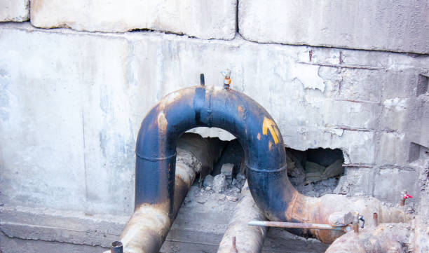Best Water damage restoration near me  in Mount Carmel, IL