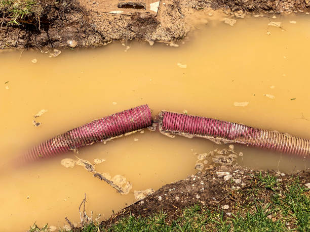 Best Flood restoration services  in Mount Carmel, IL
