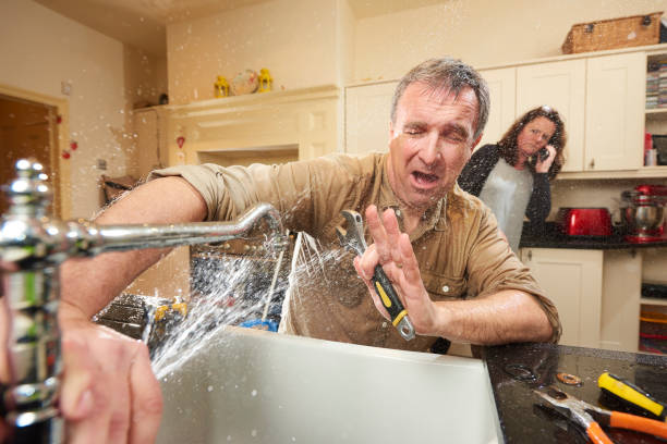 Best Flooded house restoration  in Mount Carmel, IL